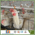 Trade Assurance Poultry Nipple Drinking System Battery Chicken Cages